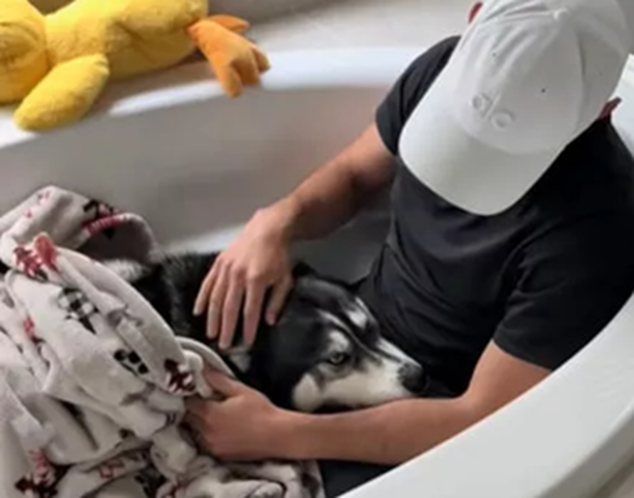 Cane nella vasca da bagno