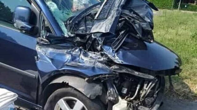 Due cani e due gatti scappano dall’auto dopo l’incidente sull’autostrada A4
