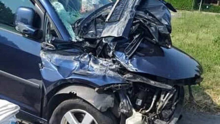 Due cani e due gatti scappano dall’auto dopo l’incidente sull’autostrada A4