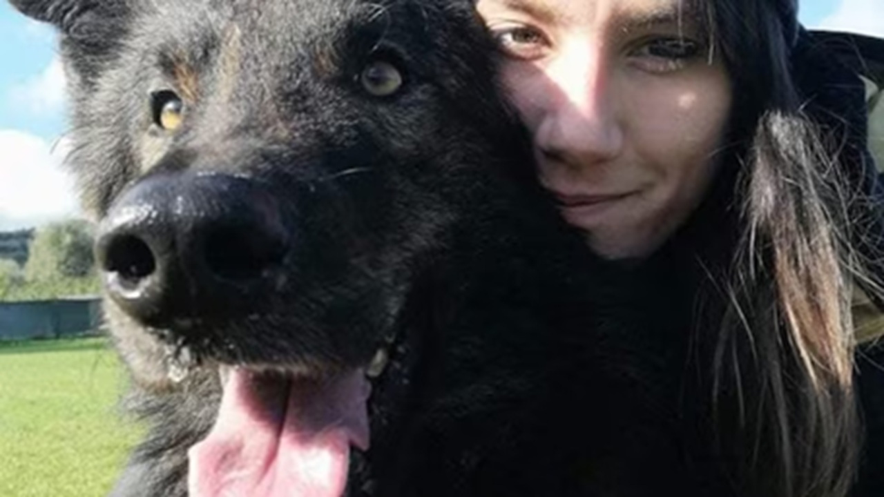Risarcimento per il cane ucciso da un cacciatore