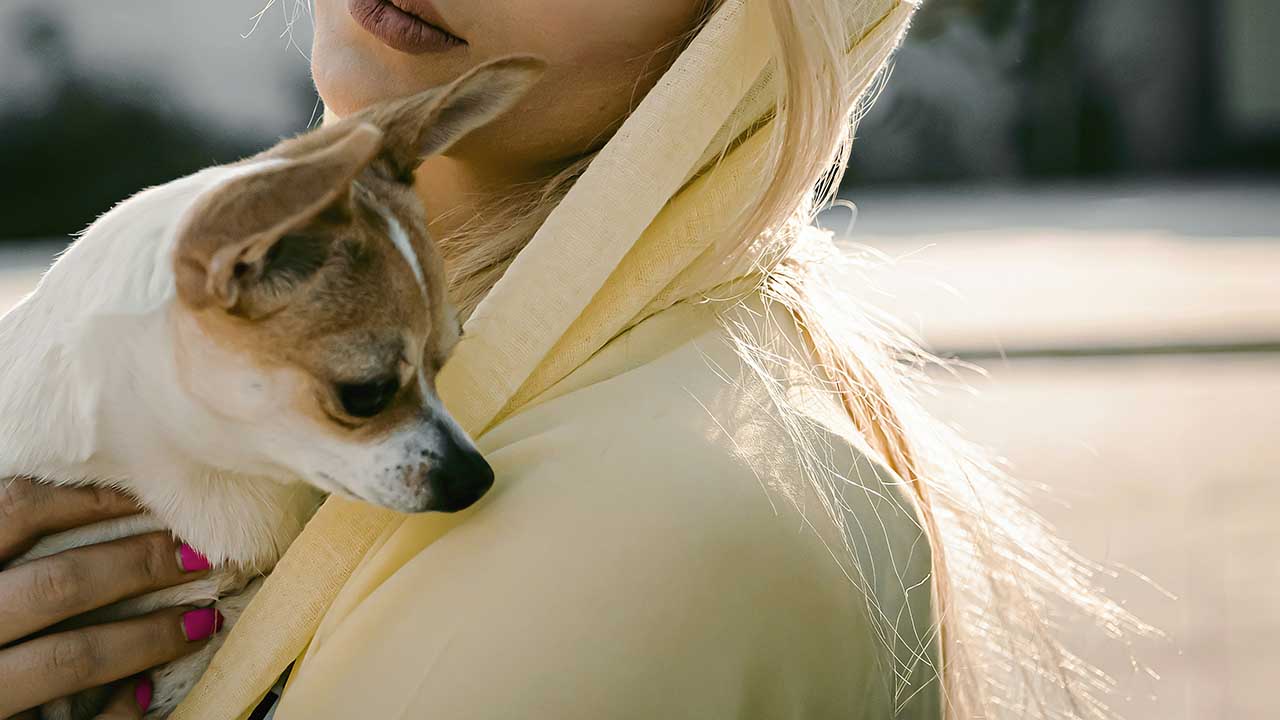 Vivere con un cane in Iran