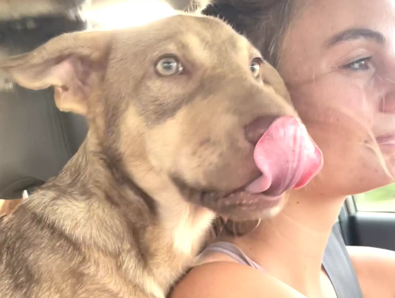Cane e proprietaria