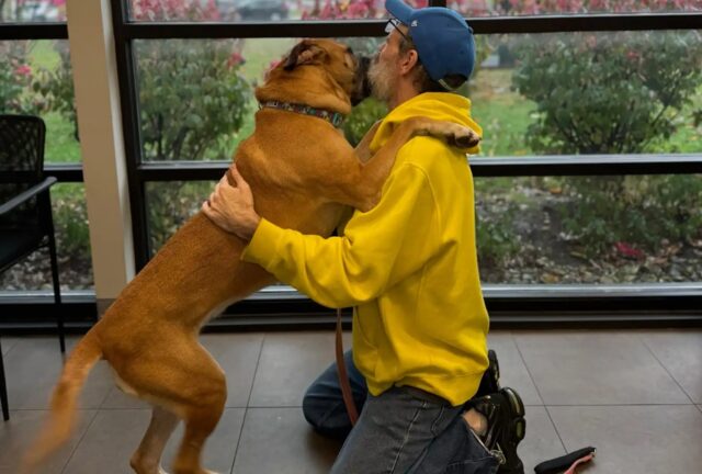 Sopravvissuto al cancro riadotta il cane che aveva dovuto abbandonare