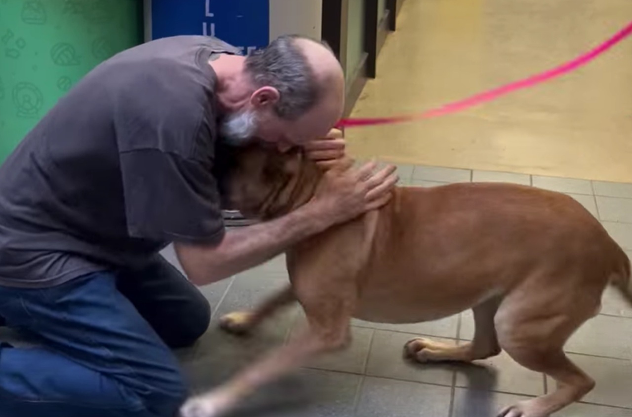 Proprietario riabbraccia il suo cane