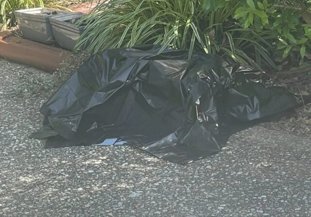 Pensava di aver trovato un cane nella busta di plastica, invece…