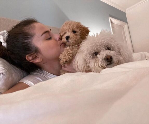 Vip italiani e stranieri che hanno scelto di adottare cani e gatti dai rifugi