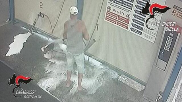 Cane lavato all’autolavaggio: denunciato per maltrattamenti il proprietario