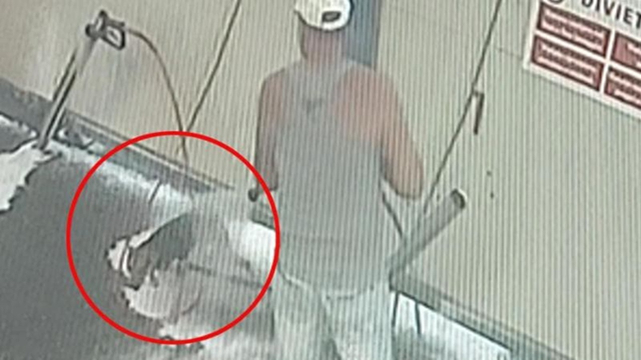 Cane lavato all'autolavaggio